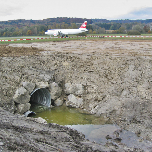Ökologische Aufwertungsmassnahmen auf dem Flughafen Zürich