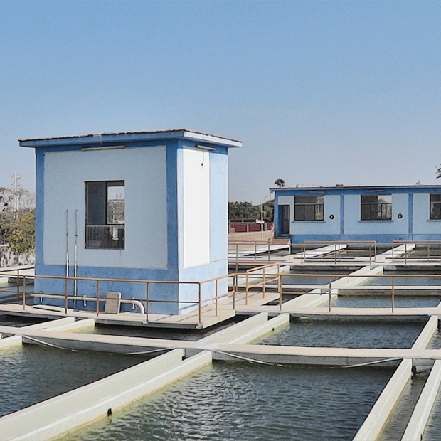 Wasserversorgung und Abwasserentsorgung in Piura